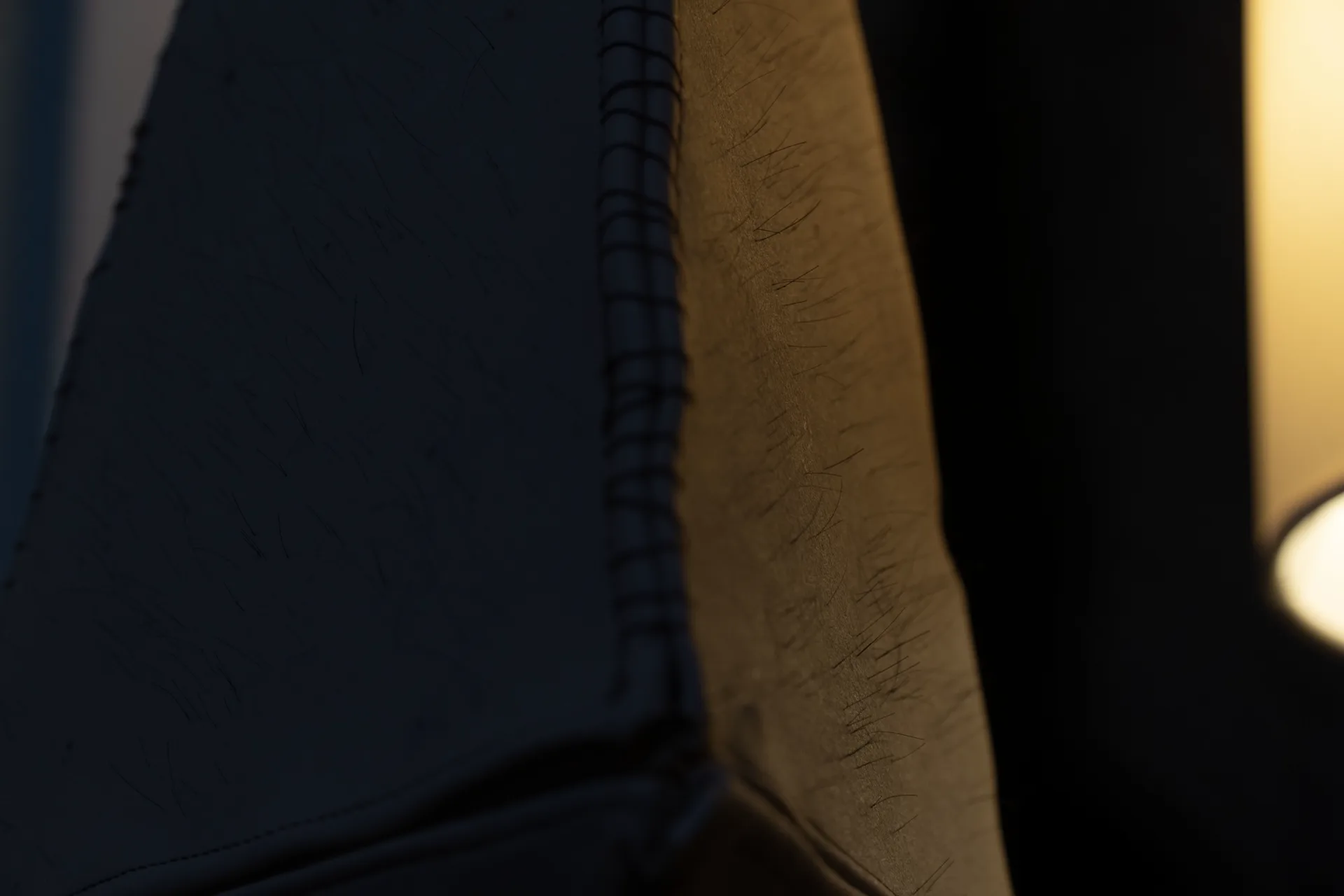 SPIKE — image 2