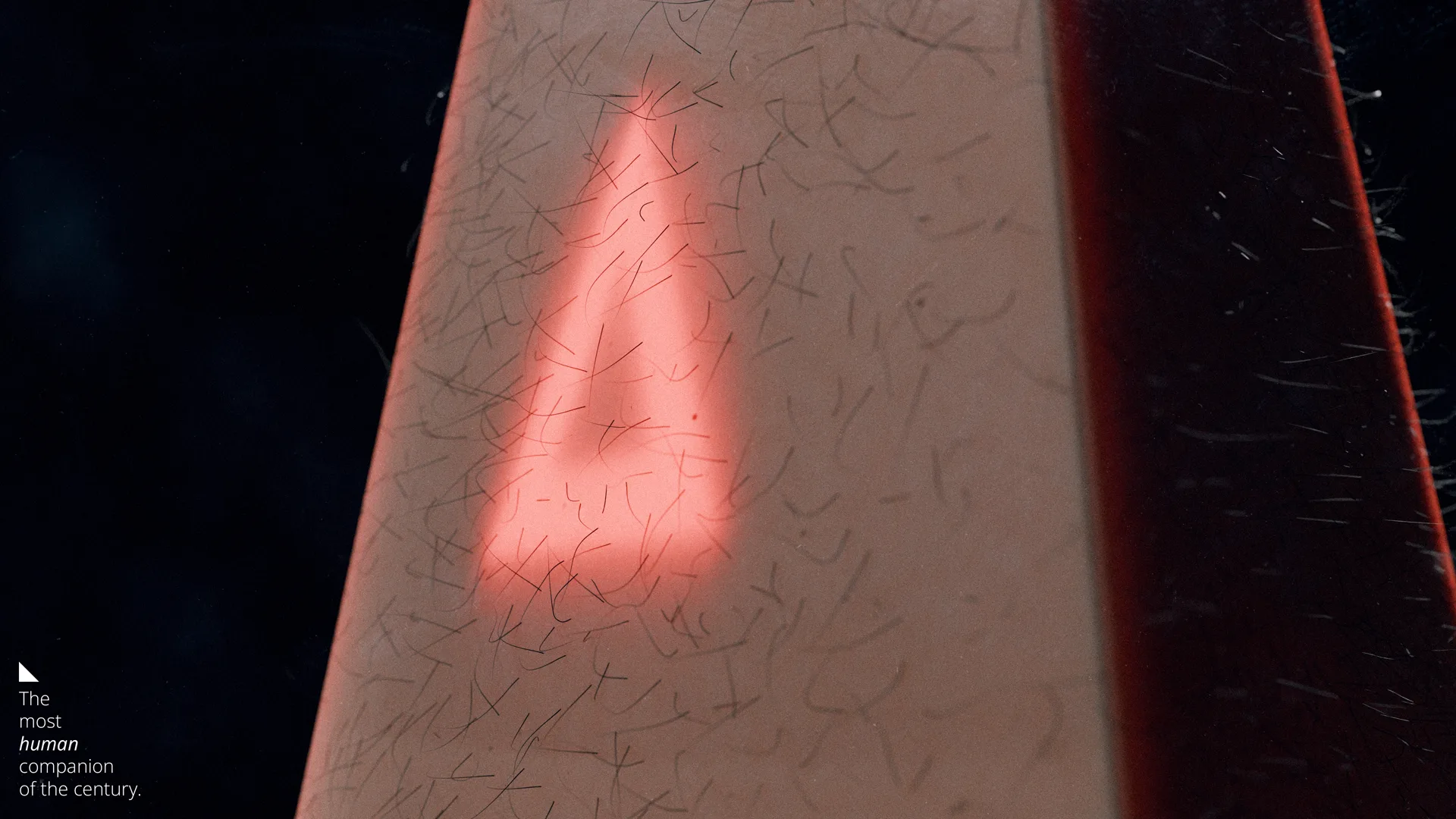 SPIKE — image 1